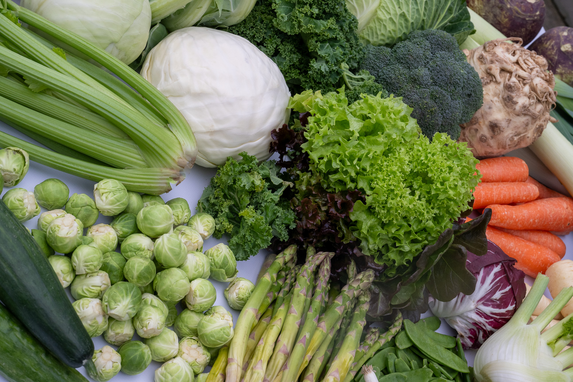 A diverse assortment of fresh green vegetables, including cabbage, celery, Brussels sprouts, lettuce, broccoli, kale, asparagus, and cucumbers, displayed together with some orange carrots and other vegetables