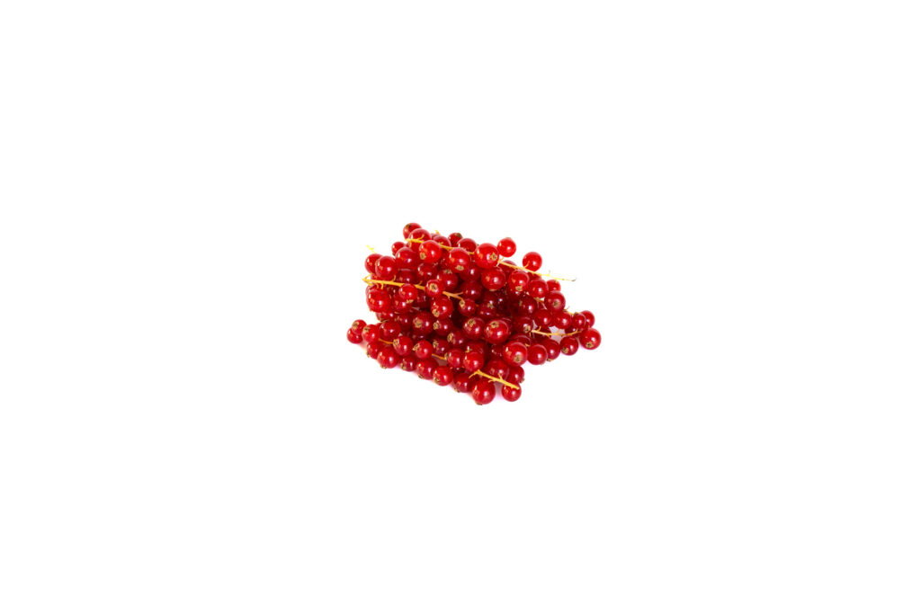 A small bunch of fresh red currants