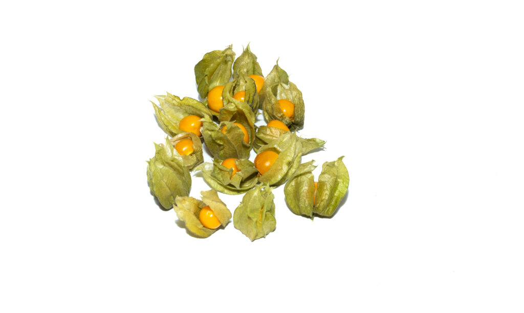 Physalis (Cape Gooseberry)