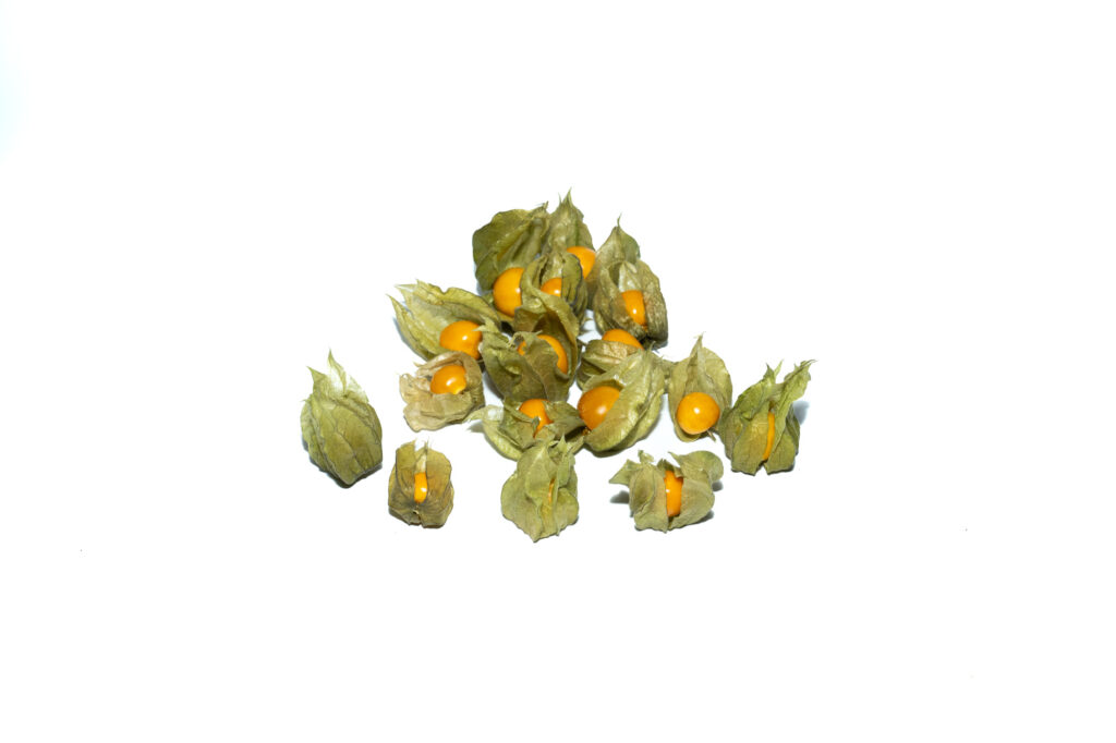 Physalis (Cape Gooseberry)