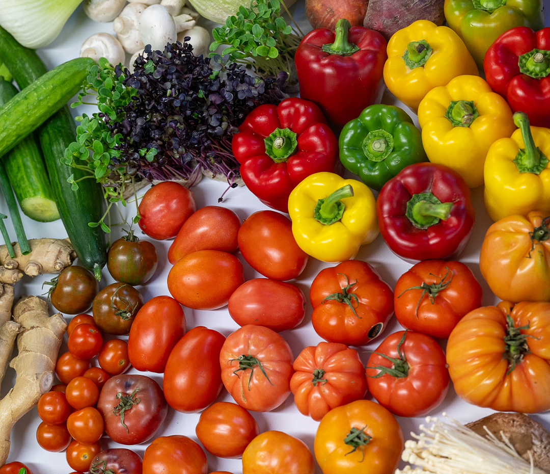 An assortment of fresh vegetables and mushrooms, including bell peppers, tomatoes, radicchio, lettuce, fennel, cucumbers, beets, eggplants, mushrooms, chili peppers