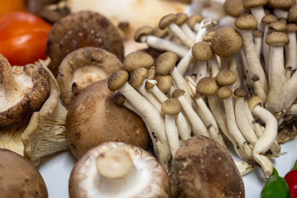 An assortment of fresh mushrooms, including shiitake, brown beech, and other varieties