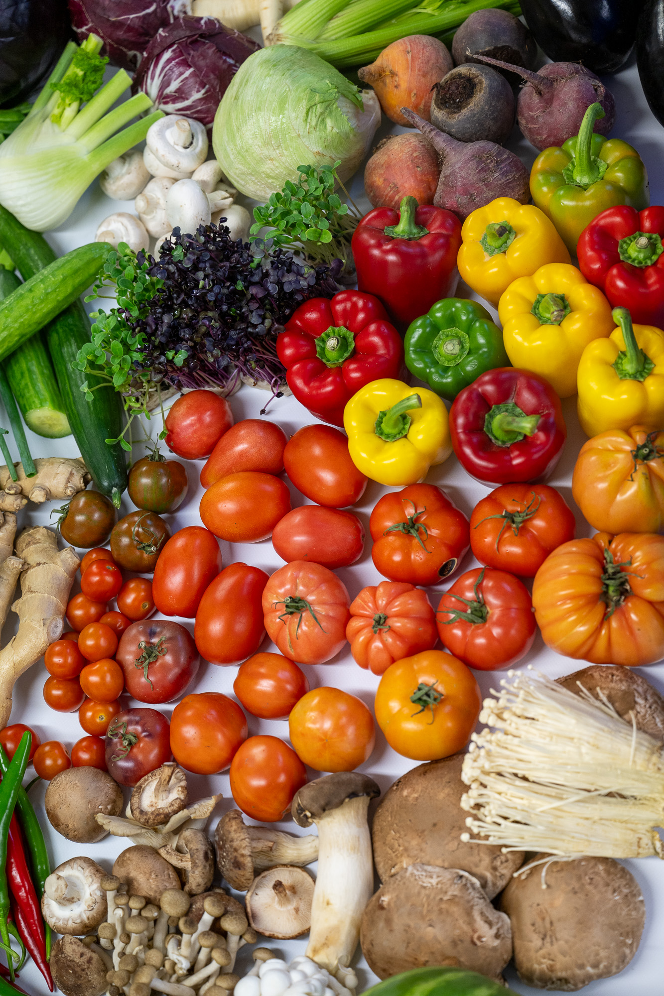 Mixture of Fruit and Vegtables supplied by Cullens