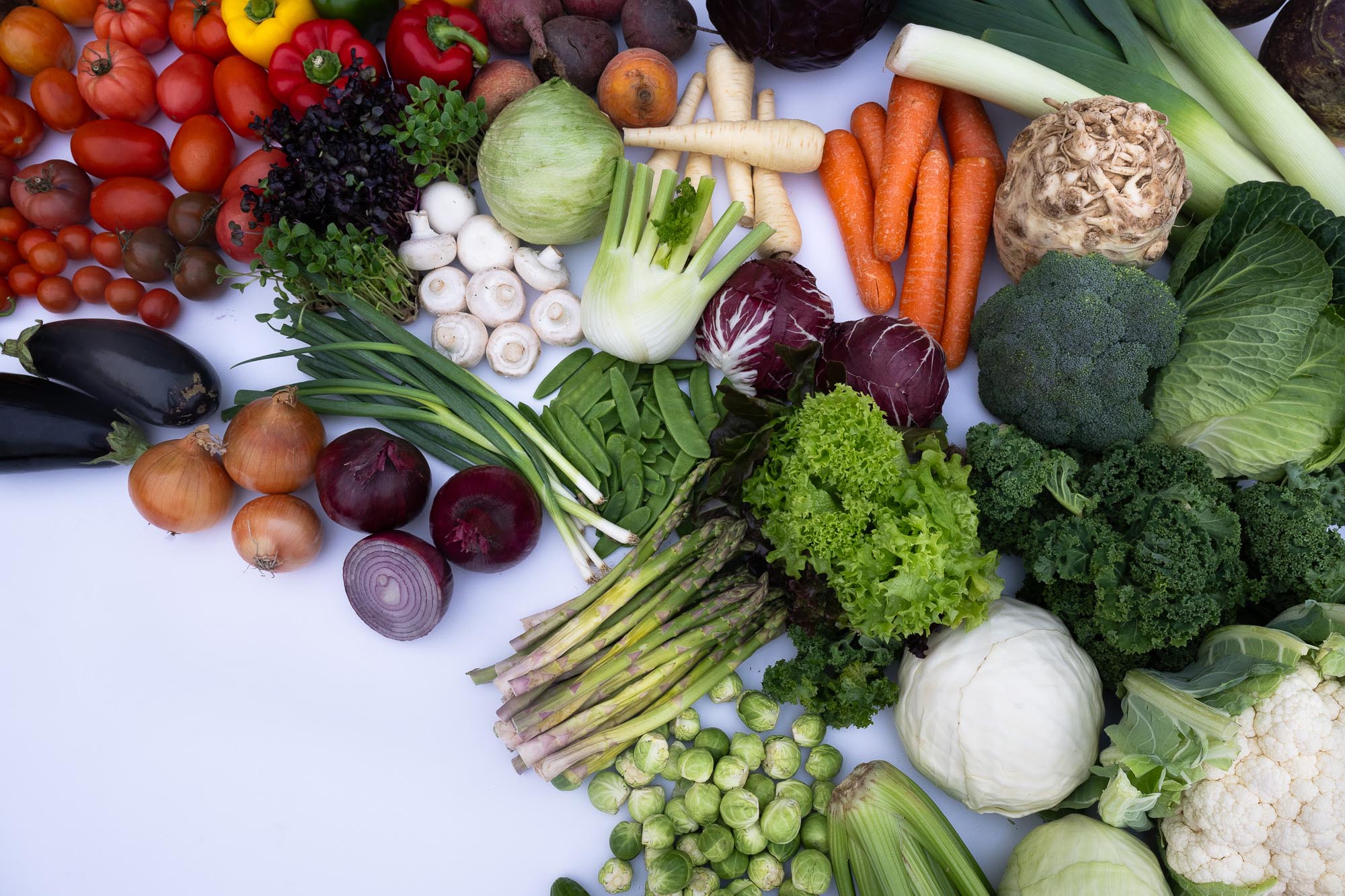 A mix of fresh vegetables, including tomatoes, bell peppers, beets, radishes, cabbage, leeks, carrots, celery root, broccoli, lettuce, kale, Brussels sprouts, cauliflower, onions, eggplants, mushrooms, fennel, radicchio, parsnips, green onions, snap peas, and asparagus