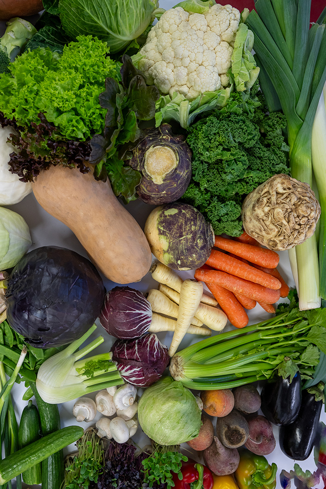 A colorful assortment of fresh vegetables, including leafy greens, cauliflower, butternut squash, carrots, parsnips, leeks, celery, radicchio, cabbage, mushrooms, cucumbers, beets, and eggplants